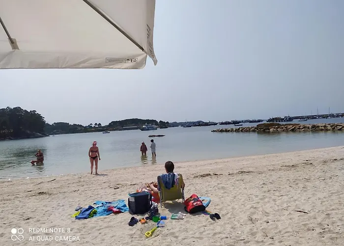 Luminoso Y Moderno 오그로브